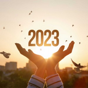 Award Trends in 2023