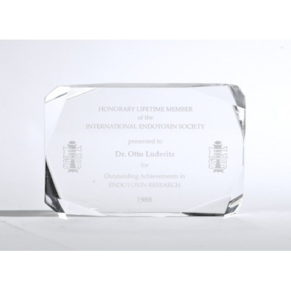 Corporate Crystal Acrylic (Acrylic Awards)