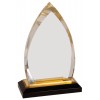 Oval Impress Acrylic (Acrylic Awards)