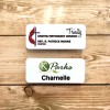 Color Fusion Rectangle Plastic Name Badge (Badges)