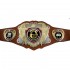  Legion Championship Award Belt