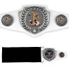 Antique Shield Championship Belt (Swim & Dive)