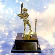 Male T-Ball Player - A1