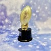 Medium Gold Football Trophy on Base