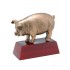 Resin Hog Trophy