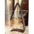 Orion Acrylic Award