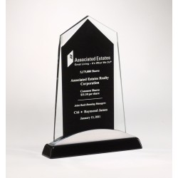Apex Crystal Award