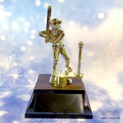 Male T-Ball Player - A1